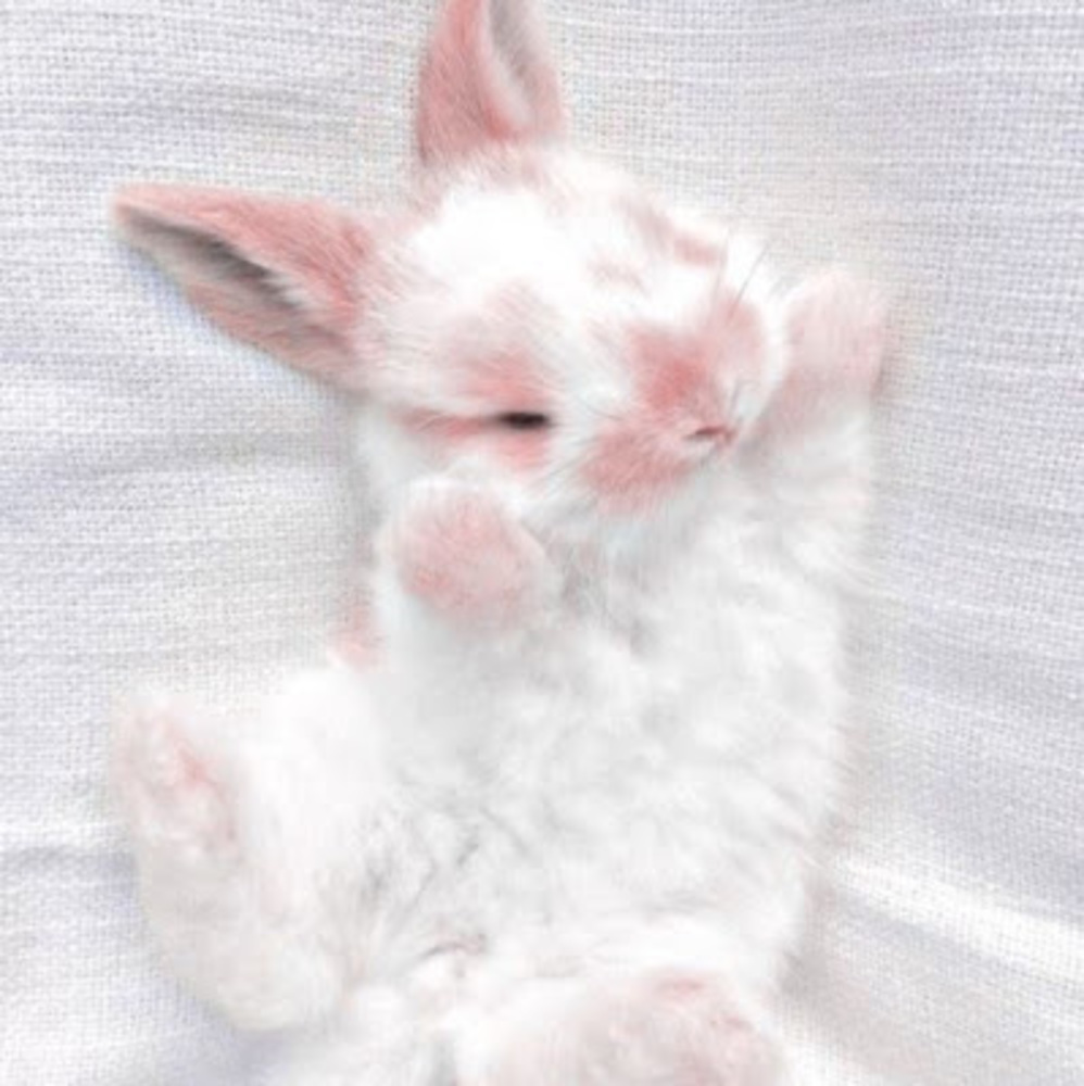 Meet your Posher, Ellie